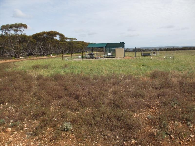 Section 207 Sleeper Track Road, Sedan SA 5353