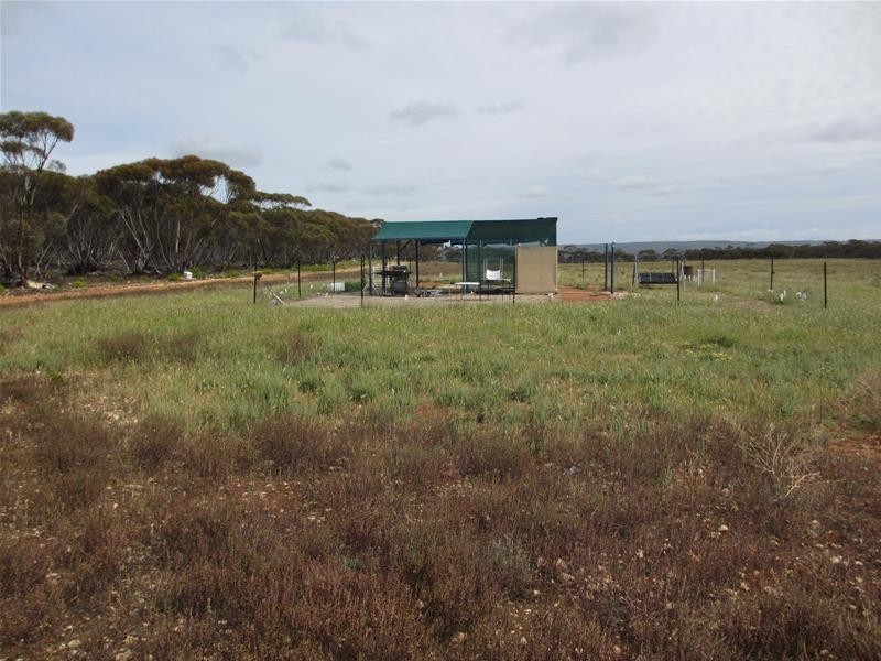 Section 207 Sleeper Track Road, Sedan SA 5353