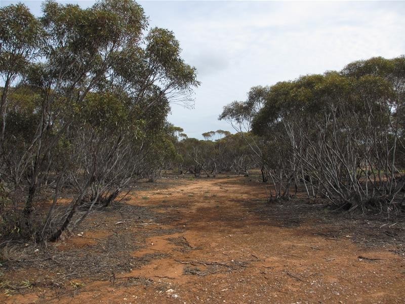 Section 207 Sleeper Track Road, Sedan SA 5353