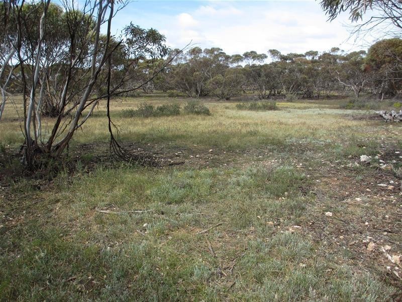 Section 207 Sleeper Track Road, Sedan SA 5353