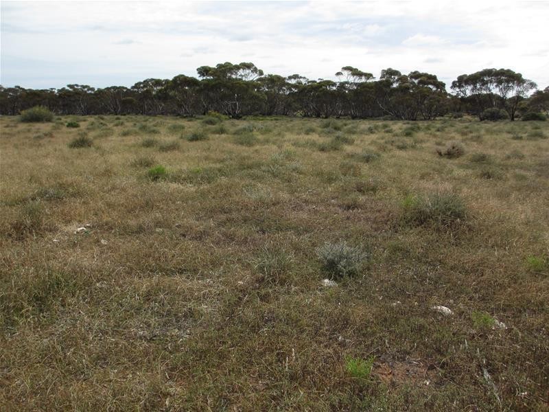 Section 207 Sleeper Track Road, Sedan SA 5353