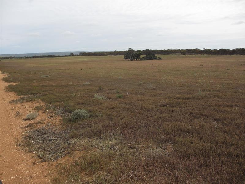 Section 207 Sleeper Track Road, Sedan SA 5353