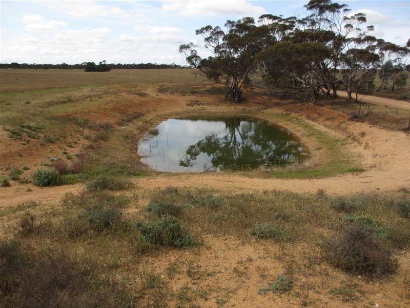 Section 207 Sleeper Track Road, Sedan SA 5353