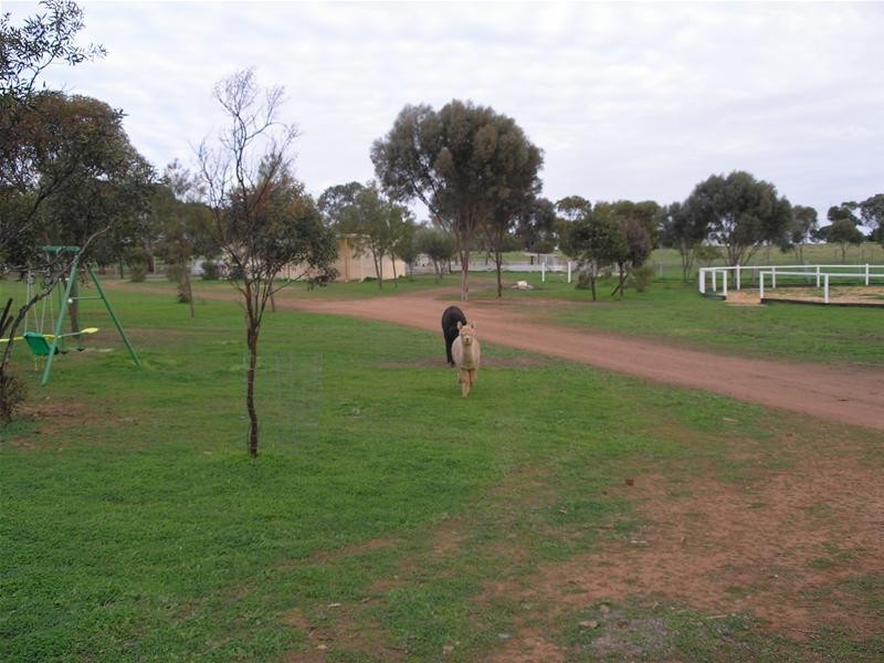 Lot 12, 34 Hallett Street, Callington SA 5254