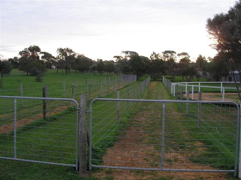 Lot 12, 34 Hallett Street, Callington SA 5254