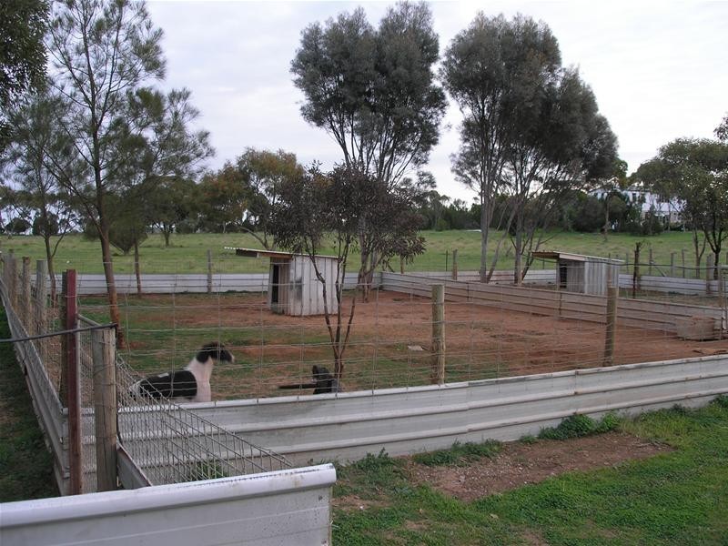 Lot 12, 34 Hallett Street, Callington SA 5254