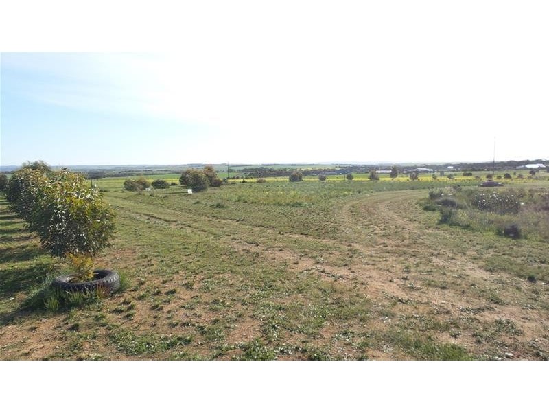 70 Magpie Crescent, Mannum SA 5238