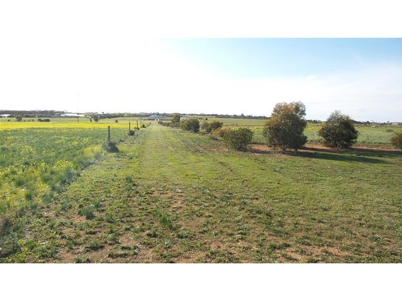 70 Magpie Crescent, Mannum SA 5238