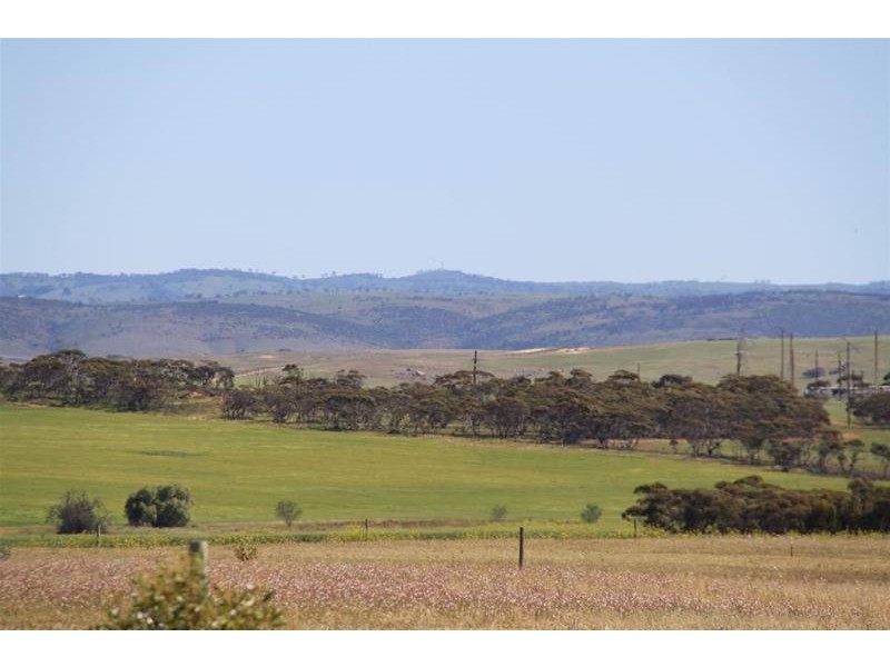 70 Magpie Crescent, Mannum SA 5238