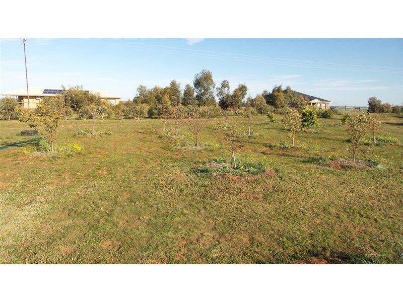 70 Magpie Crescent, Mannum SA 5238