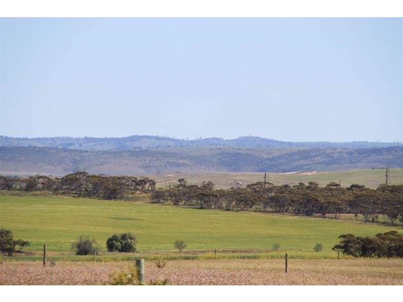 70 Magpie Crescent, Mannum SA 5238