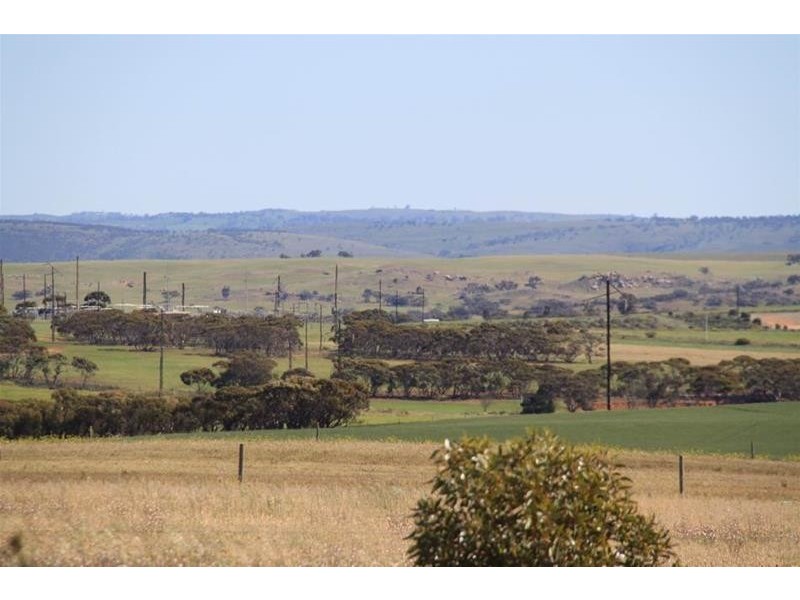 70 Magpie Crescent, Mannum SA 5238