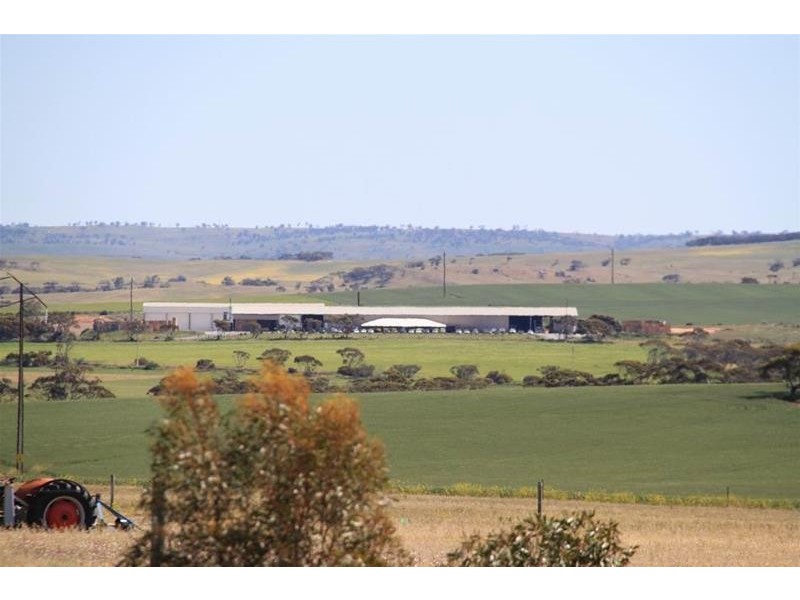 70 Magpie Crescent, Mannum SA 5238