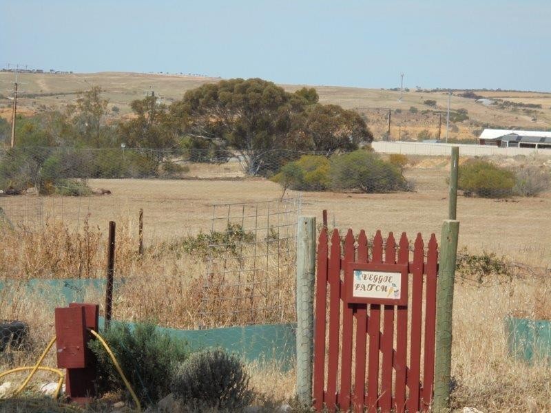 36 King George Street, Mannum SA 5238