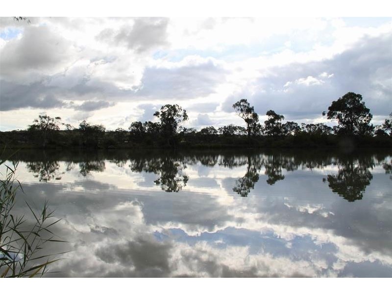 Lot 50 Scrubby Flat via, Walker Flat SA 5238