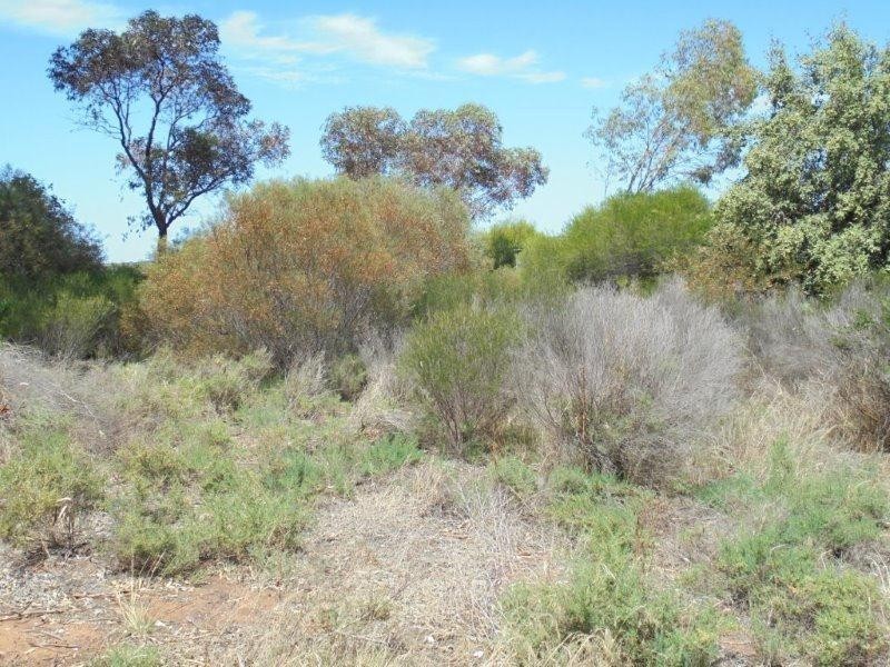 6 Connors Road, Swan Reach SA 5354