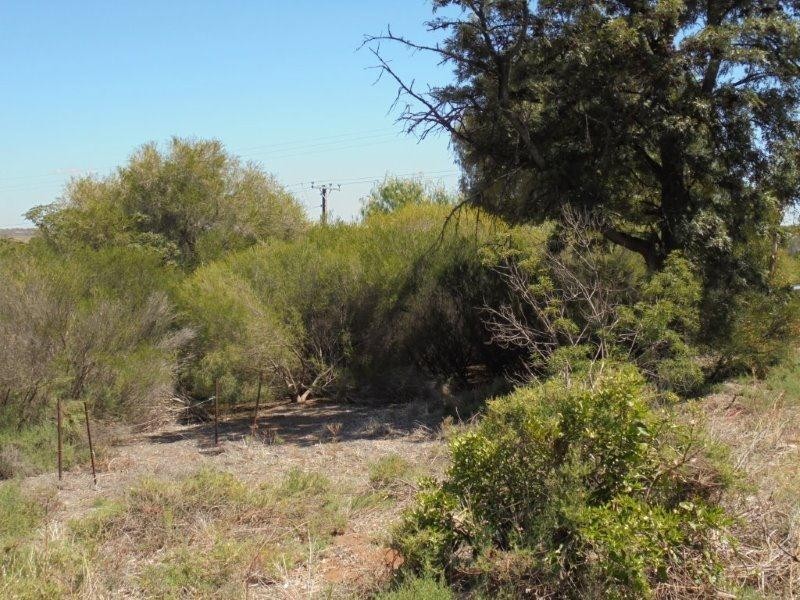 6 Connors Road, Swan Reach SA 5354