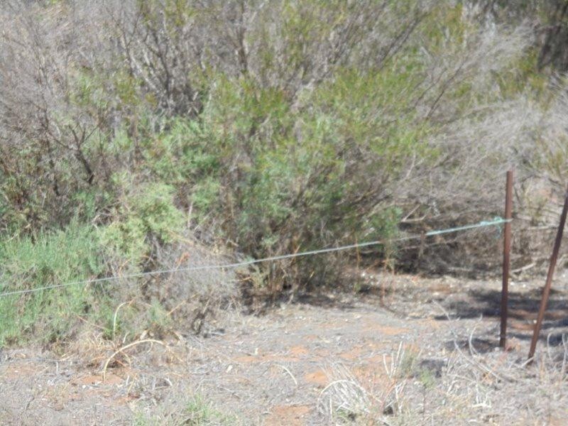 6 Connors Road, Swan Reach SA 5354