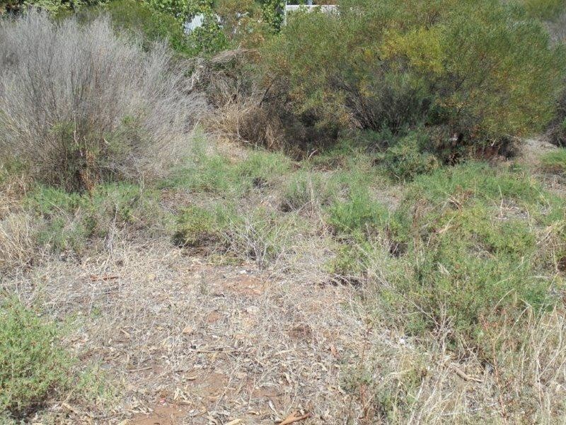 6 Connors Road, Swan Reach SA 5354