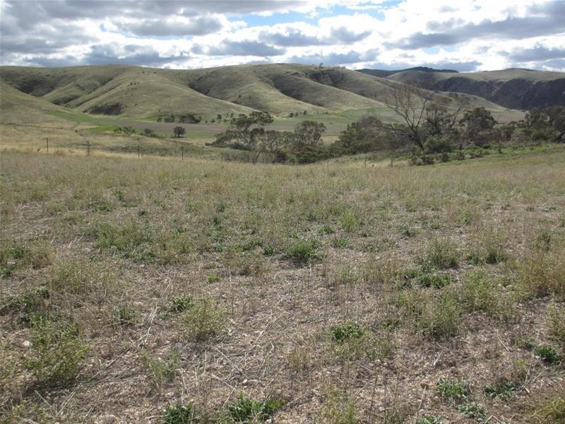 Lots 1-9 Pine Crest and Three Chain Roads, Sanderston SA 5237