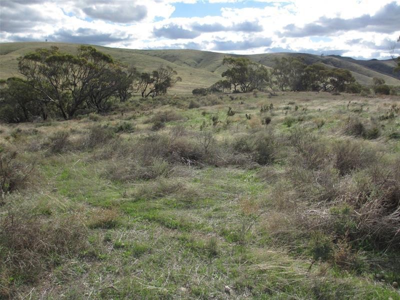 Lots 1-9 Pine Crest and Three Chain Roads, Sanderston SA 5237