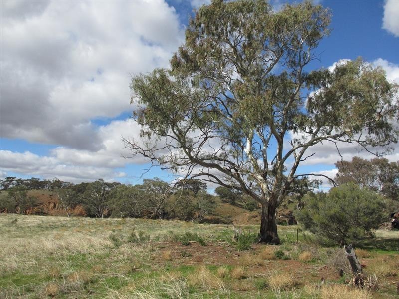 Lots 1-9 Pine Crest and Three Chain Roads, Sanderston SA 5237