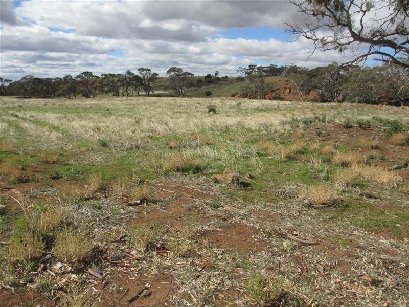 Lots 1-9 Pine Crest and Three Chain Roads, Sanderston SA 5237