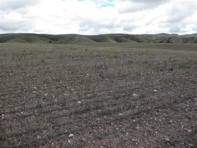 Lots 1-9 Pine Crest and Three Chain Roads, Sanderston SA 5237