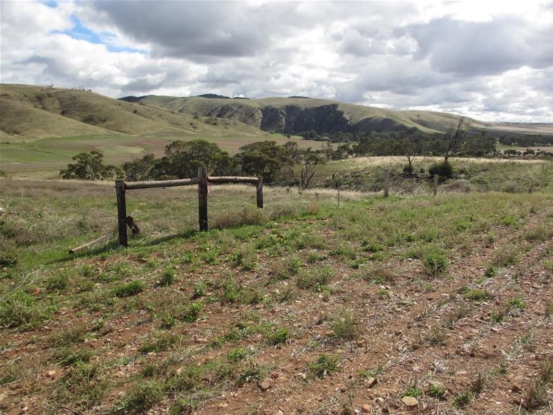 Lots 1-9 Pine Crest and Three Chain Roads, Sanderston SA 5237