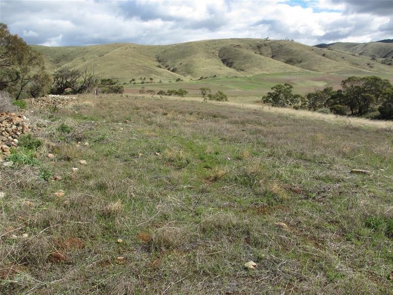 Lots 1-9 Pine Crest and Three Chain Roads, Sanderston SA 5237