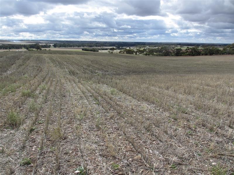 Lots 1-9 Pine Crest and Three Chain Roads, Sanderston SA 5237