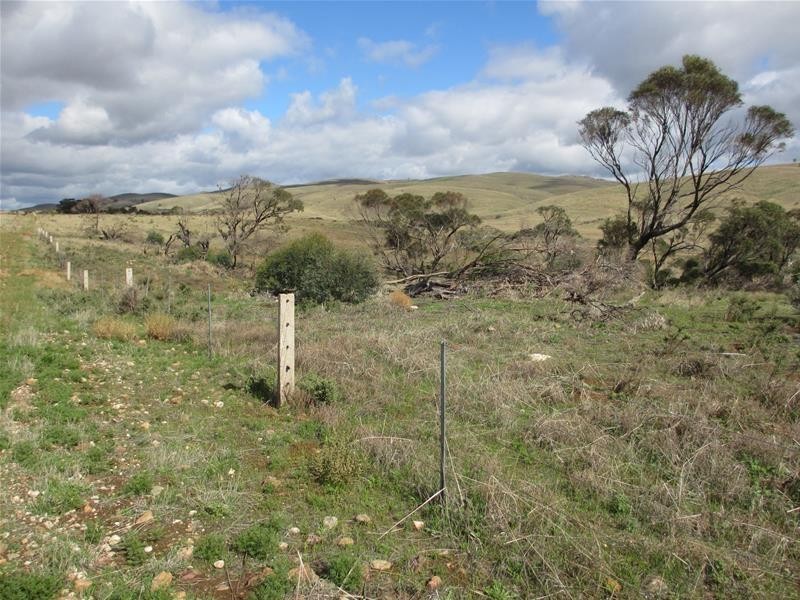 Lots 1-9 Pine Crest and Three Chain Roads, Sanderston SA 5237