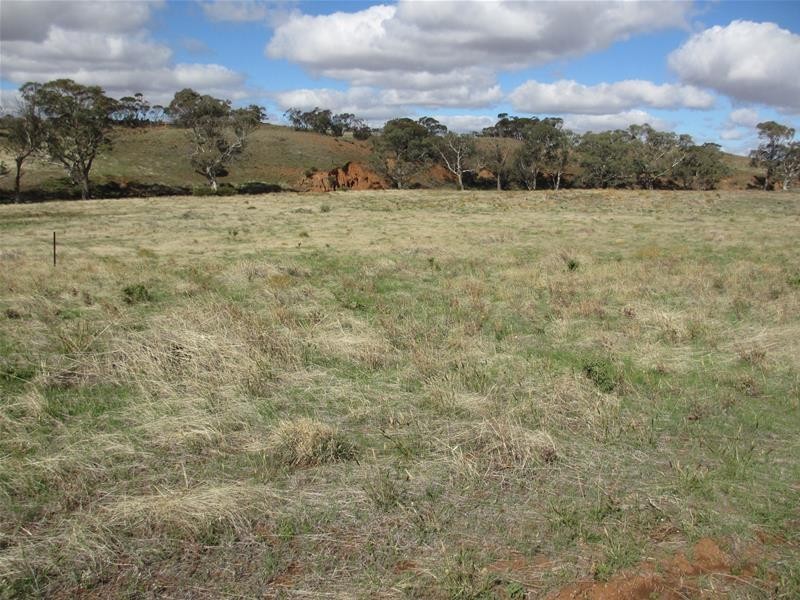 Lots 1-9 Pine Crest and Three Chain Roads, Sanderston SA 5237