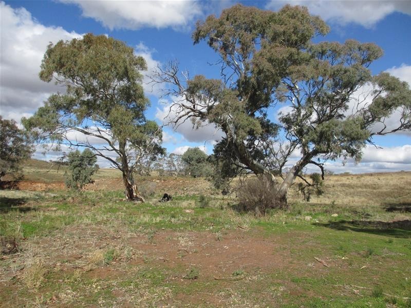 Lots 1-9 Pine Crest and Three Chain Roads, Sanderston SA 5237