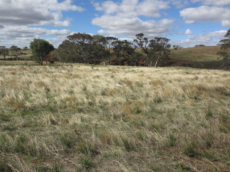 Lots 1-9 Pine Crest and Three Chain Roads, Sanderston SA 5237