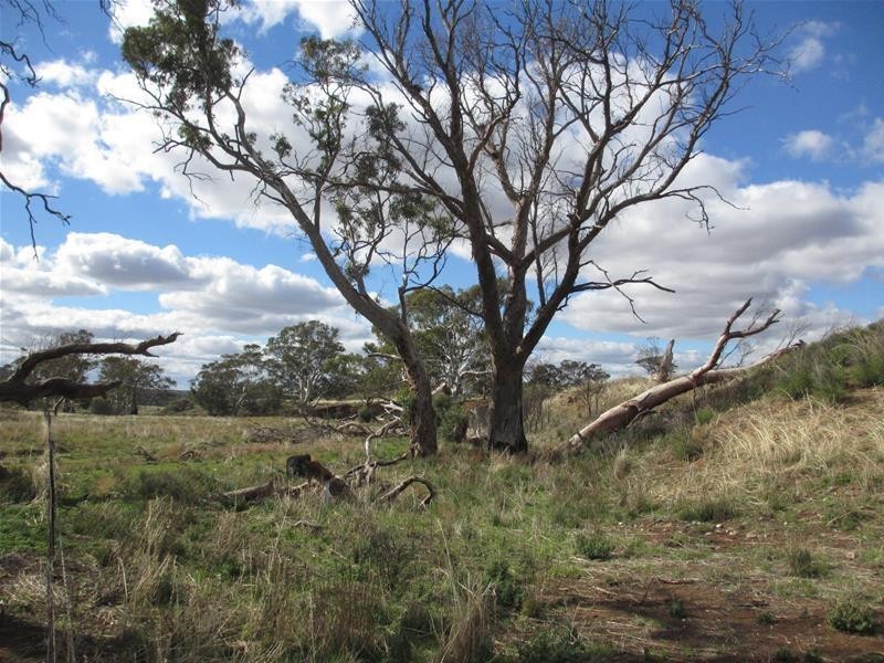 Lots 1-9 Pine Crest and Three Chain Roads, Sanderston SA 5237