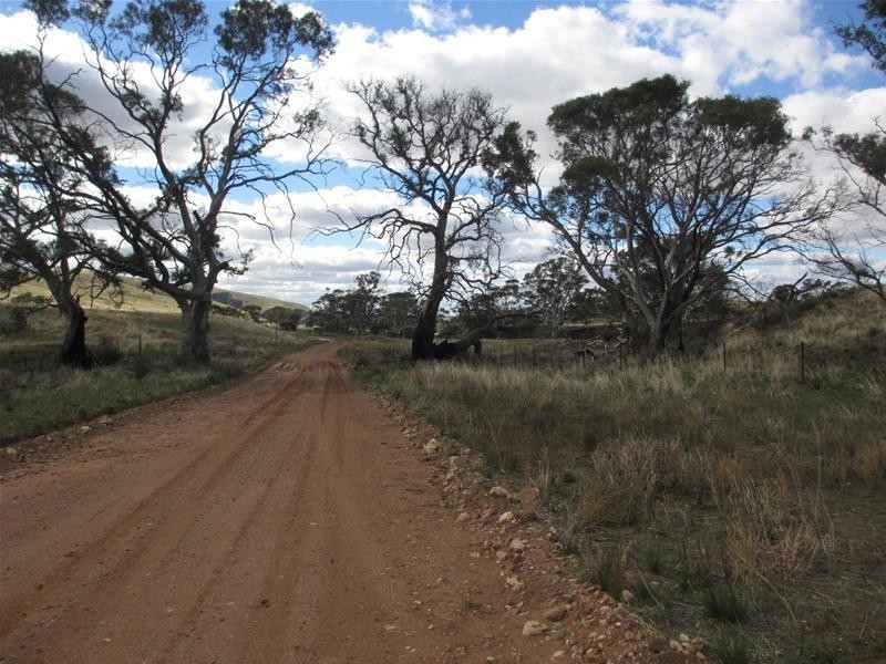 Lots 1-9 Pine Crest and Three Chain Roads, Sanderston SA 5237