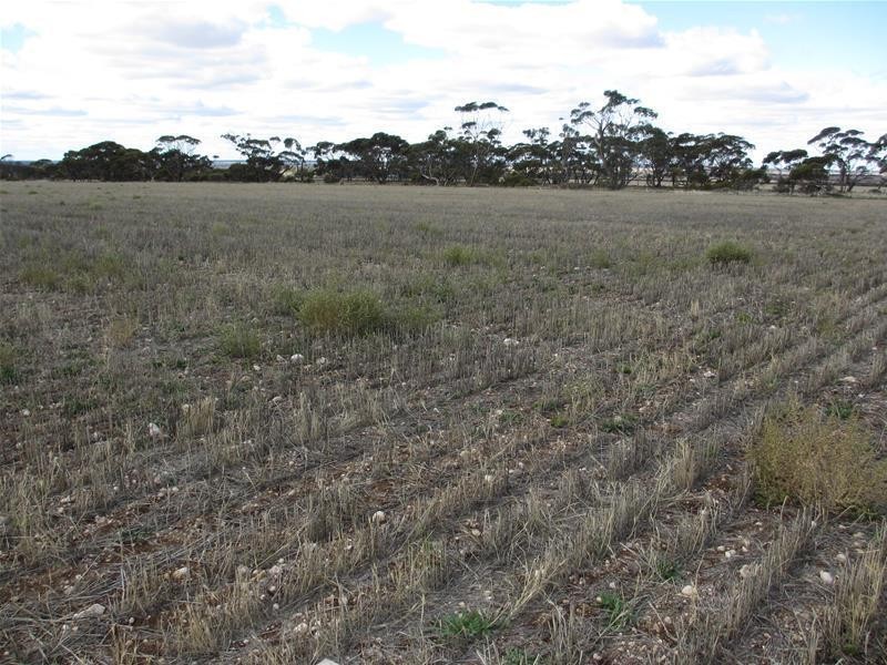 Lots 1-9 Pine Crest and Three Chain Roads, Sanderston SA 5237