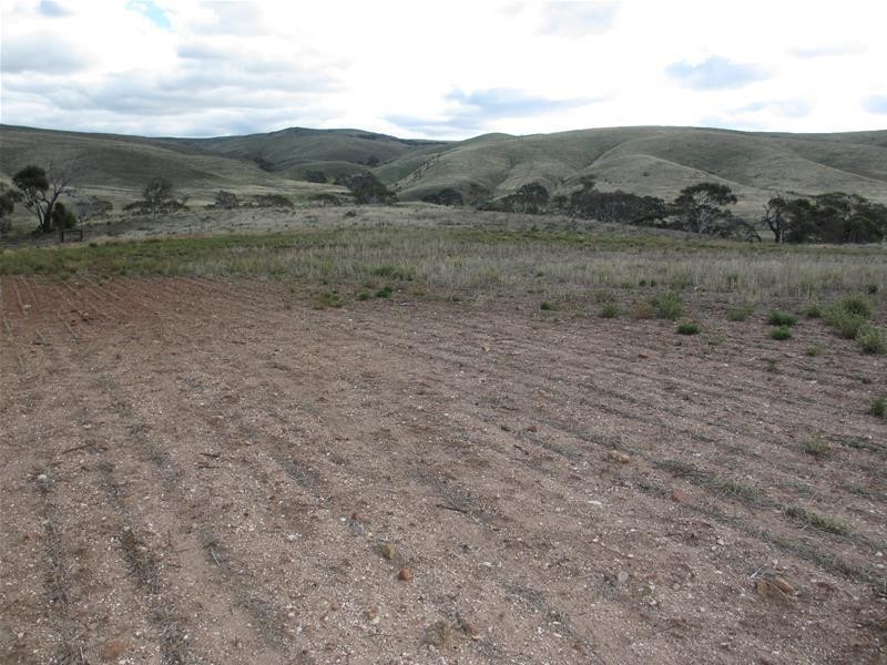 Lots 1-9 Pine Crest and Three Chain Roads, Sanderston SA 5237