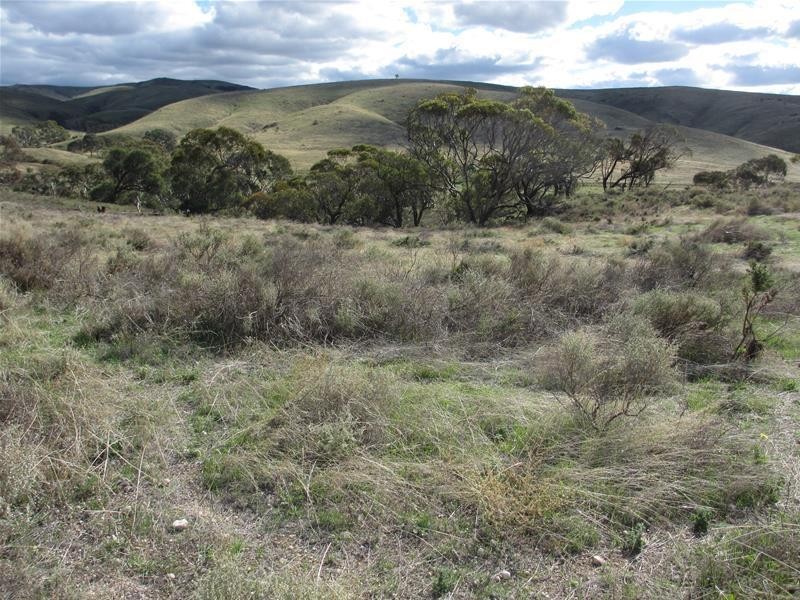 Lots 1-9 Pine Crest and Three Chain Roads, Sanderston SA 5237