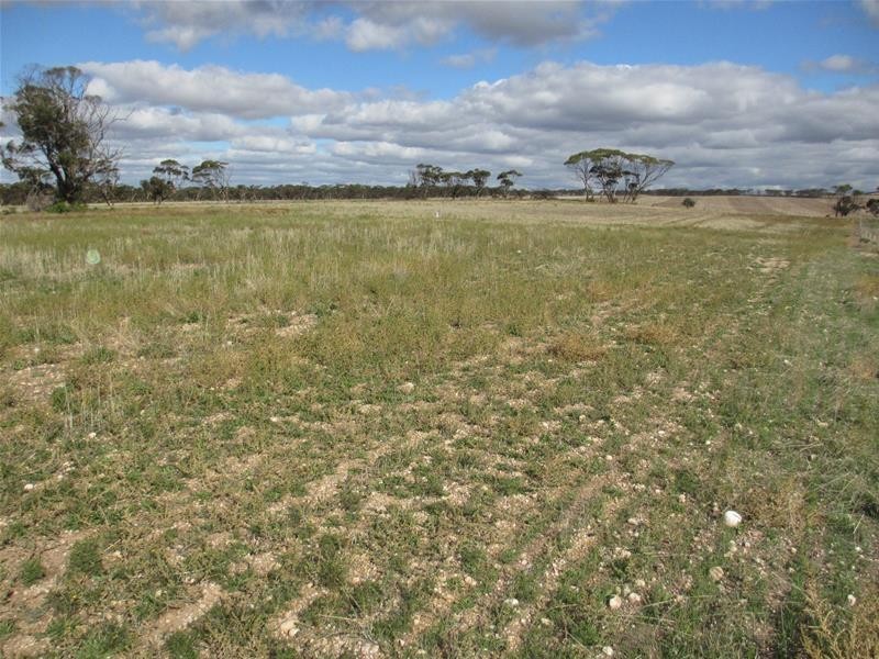 Lots 1-9 Pine Crest and Three Chain Roads, Sanderston SA 5237