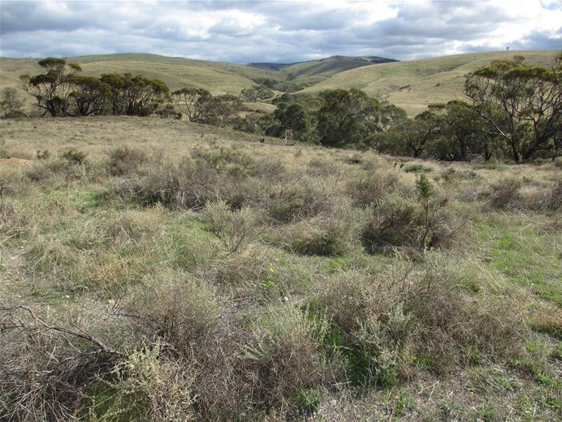 Lots 1-9 Pine Crest and Three Chain Roads, Sanderston SA 5237