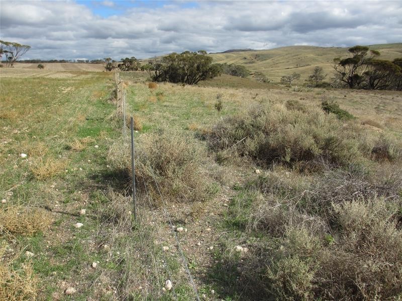 Lots 1-9 Pine Crest and Three Chain Roads, Sanderston SA 5237