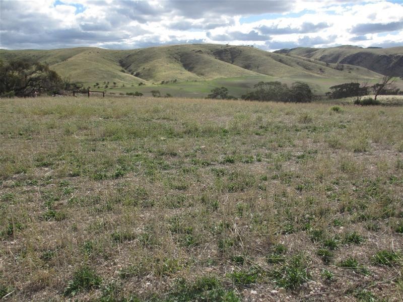 Lots 1-9 Pine Crest and Three Chain Roads, Sanderston SA 5237