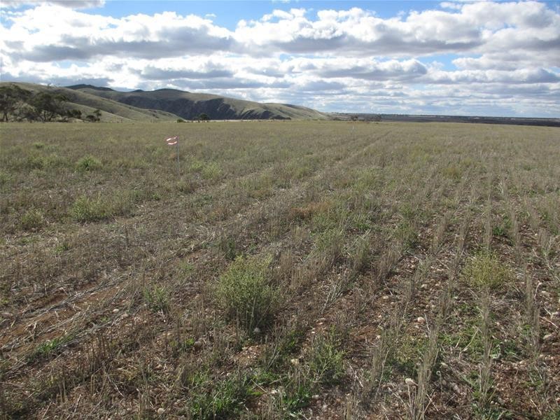 Lots 1-9 Pine Crest and Three Chain Roads, Sanderston SA 5237