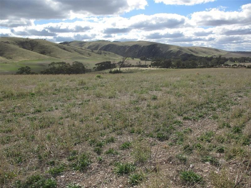 Lots 1-9 Pine Crest and Three Chain Roads, Sanderston SA 5237