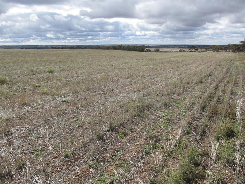 Lots 1-9 Pine Crest and Three Chain Roads, Sanderston SA 5237