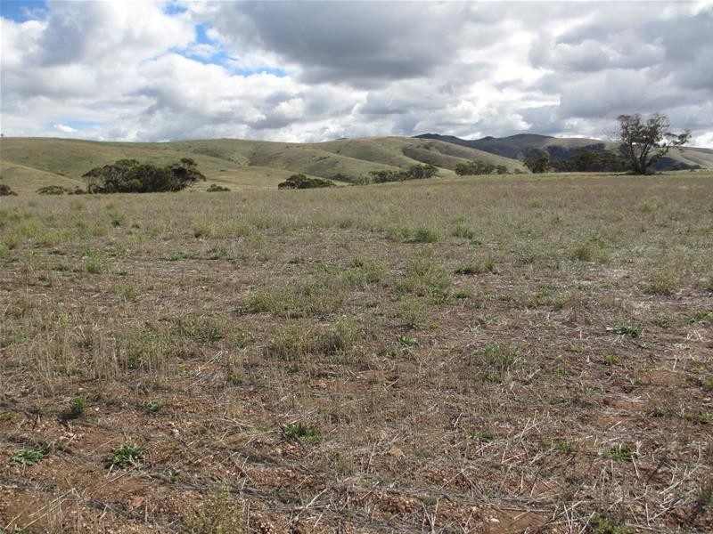 Lots 1-9 Pine Crest and Three Chain Roads, Sanderston SA 5237