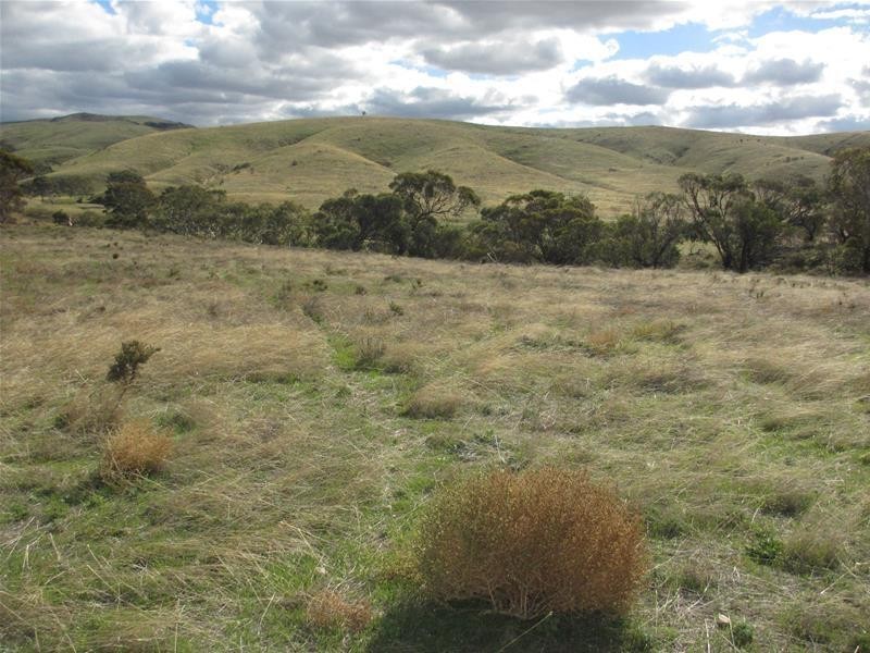 Lots 1-9 Pine Crest and Three Chain Roads, Sanderston SA 5237