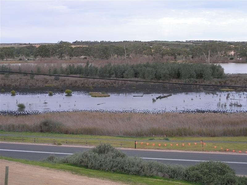 41 Purnong Road, Mannum SA 5238